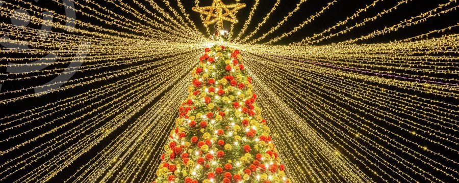 Новогодняя ель