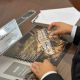 Фото мэрии города Ош. Жанар Акаев подписал меморандум с китайской компанией Shandong Shanzuo Holding Group Co., Ltd