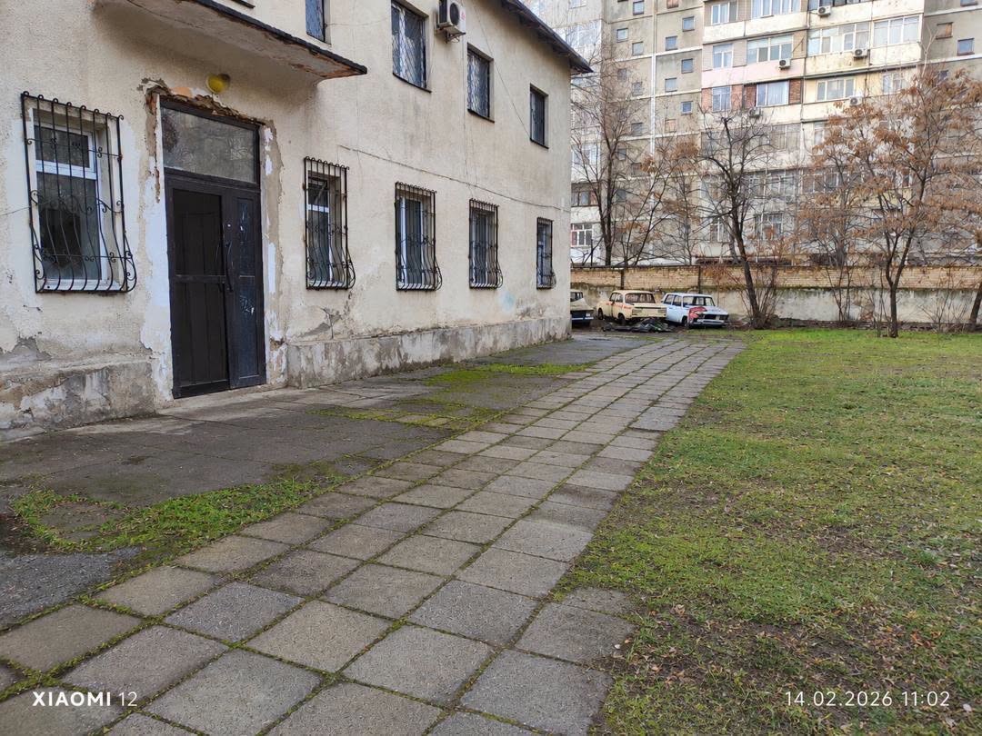 из интернета